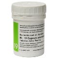 19 – Cuprum arsenicosum