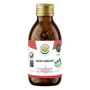 Salvia Paradise Hloh obyčajný 120 kapsúl