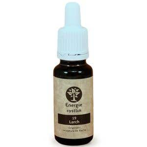 Energie rostlin Bachové esencie 19 - Larch Esencia sebadôvery 20 ml